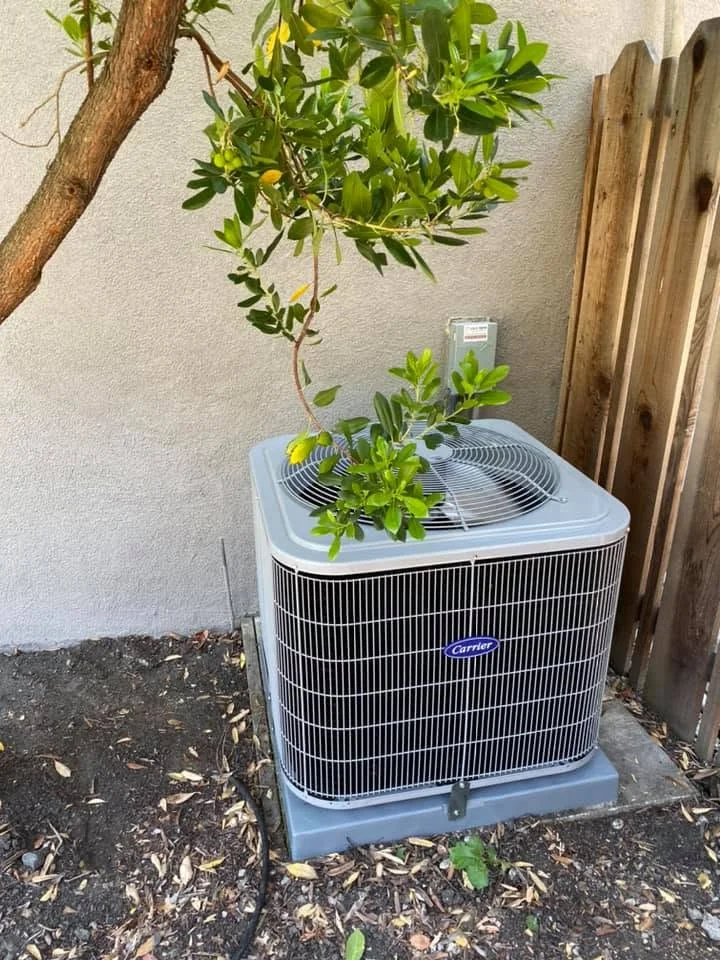 Carrier AC condenser unit installed on concrete pad with landscape screening